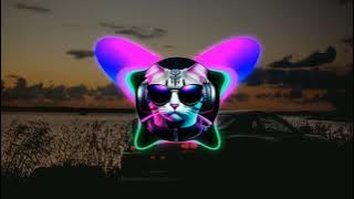 DJ TING TING PLAT KT MENGKANE VIRAL TIKTOK