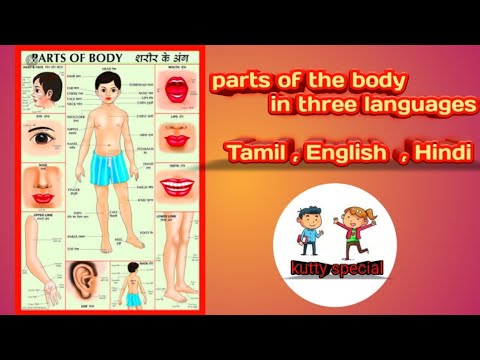 Body Parts Meaning In Tamil - Gallstones -1 (in Tamil) - YouTube
