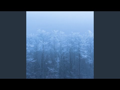 Putar Trees - Guillaume Poncelet