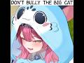 Don't Bully Raora