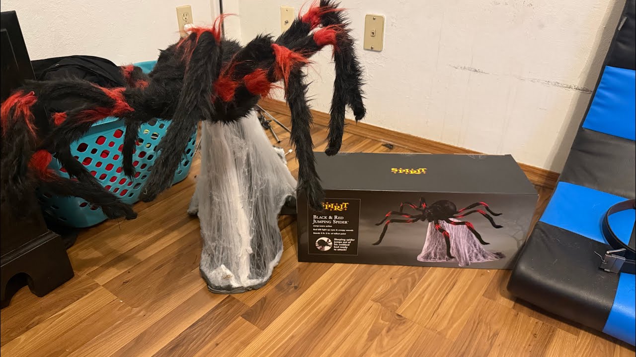 B & R jumping spider setup and unboxing/demo!
