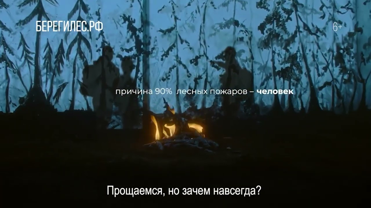 Береги Лес