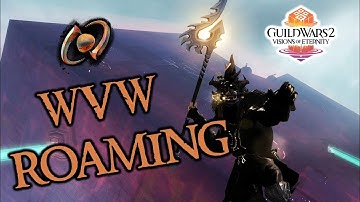 AMALGAM IS SOLID  - Guild Wars 2 PvP/WvW Roaming