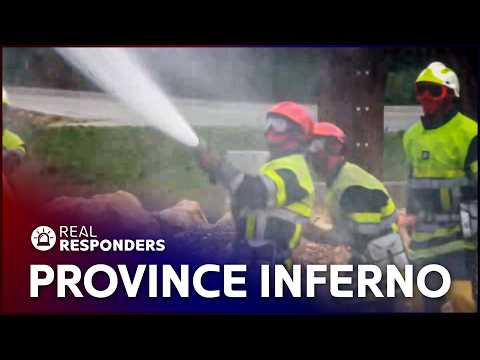 FIRE BATTLE: WHY FRANCE'S BIGGEST WILDFIRES ARE NEVER ACCIDENTAL