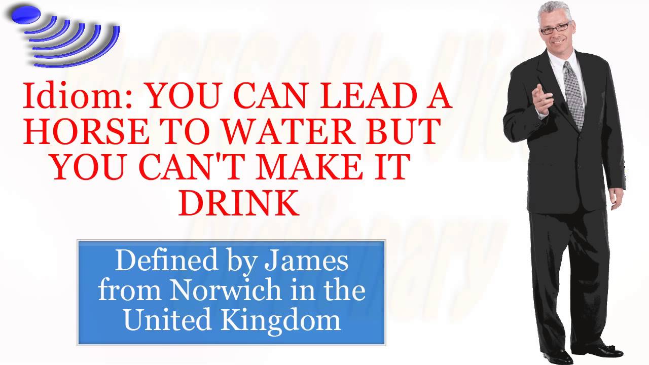 Idiom YOU CAN LEAD A HORSE TO WATER BUT YOU CAN'T MAKE IT DRINK YouTube