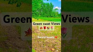 Natural beauty | natural beauty | travels | 4k 60fps video | iPhone 11 pro max Camera | #viral #4k60