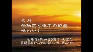 中居秀芳　俳句選集-2009  改訂