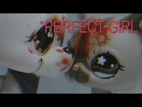 perfect girl :