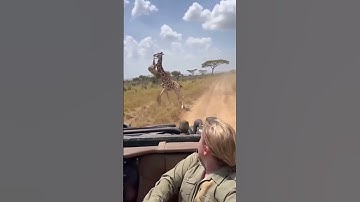 #beachgetaways #automobile #cabinadventure #musicartist #helpmemakethismakesense #funny