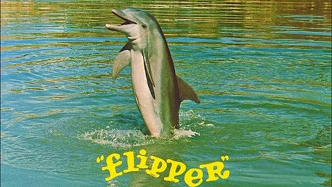 O que aconteceu com os atores do seriado Flipper?