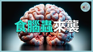 恐怖食腦蟲，有三種變身形態，不斷變化只為吞噬大腦 l 老鳴TV