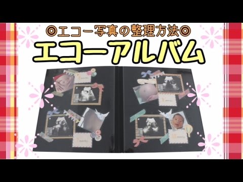 エコー写真どうしてる 可愛いエコーアルバムの作り方 Youtube