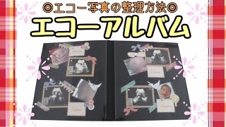 エコー写真どうしてる？可愛いエコーアルバムの作り方