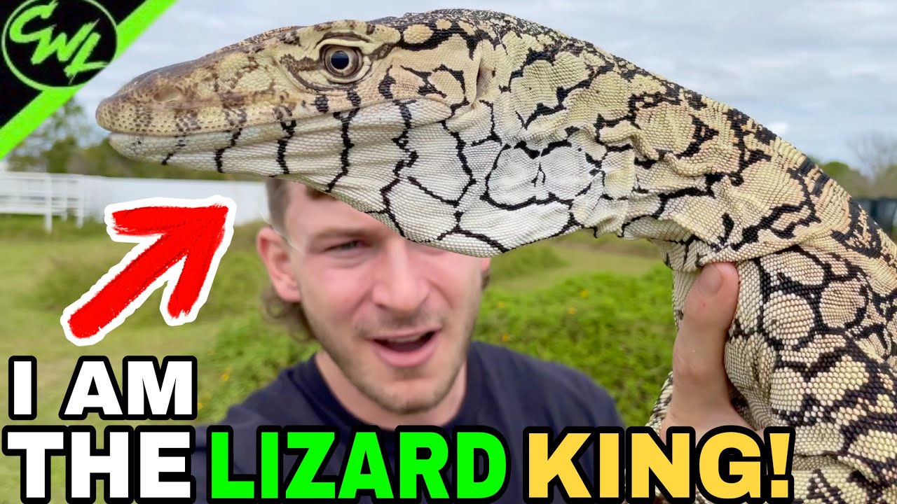 LARGEST REPTILE ZOO IN THE U S A YouTube LARGEST REPTILE ZOO IN THE U S A YouTube