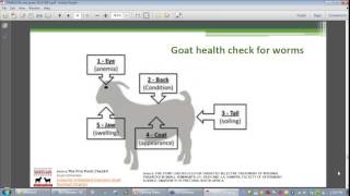 Goatmeat Webinar - FAMACHA and goats: A practical on-farm technique for Barber’s Pole