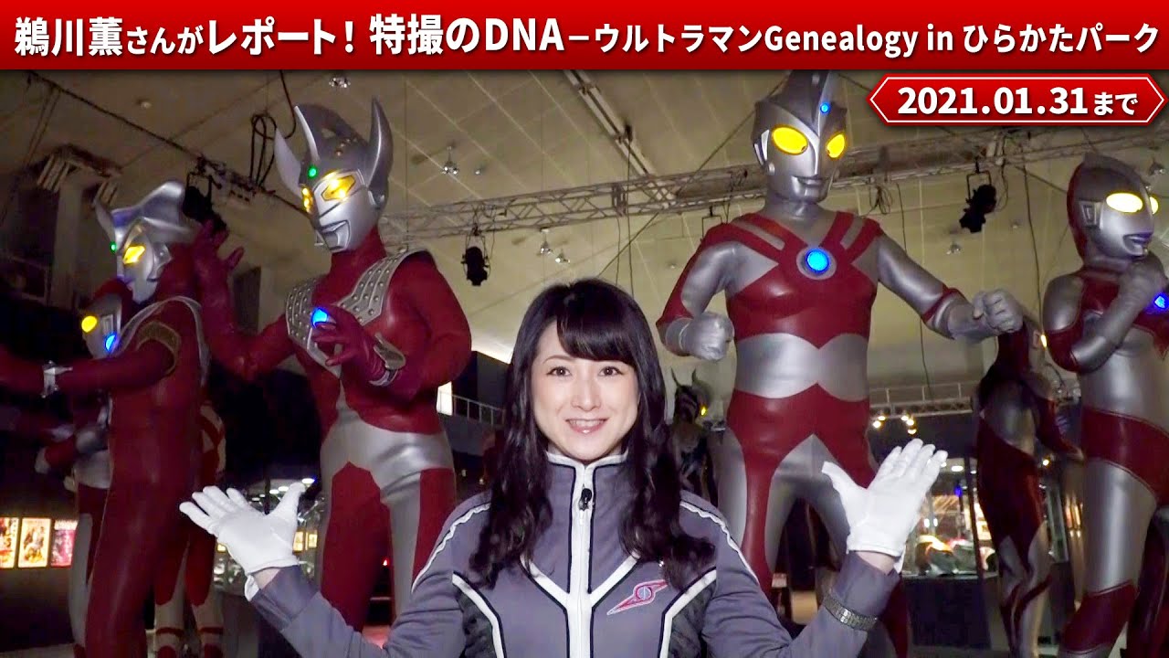 特撮のdna ウルトラマンgenealogy In ひらかたパーク アンバサダー 鵜川薫さんが大阪会場の魅力をレポート Youtube