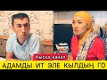 АДАМДЫ ИТ ЭЛЕ КЫЛДЫҢ ГО😃😃😃