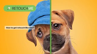 Pets Get Glam: Enhancing Pet Photos with RetouchMe Photo and Video Editor screenshot 2