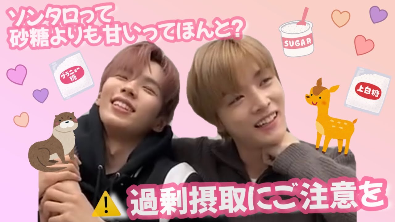 ⚠️この2人、甘すぎるので過剰摂取注意です 【 NCT 日本語字幕 / ソンタロ 】