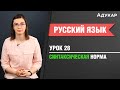 Синтаксическая норма| Русский язык