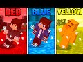 COLOR or DIE in Minecraft