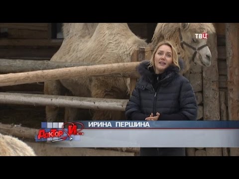 Лечит или калечит. Доктор И...