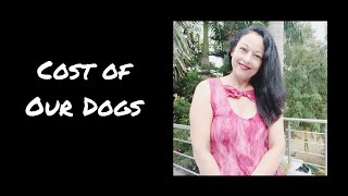 Cost of our Dog? by Anupma Pandey 460 views 2 years ago 4 minutes, 48 seconds