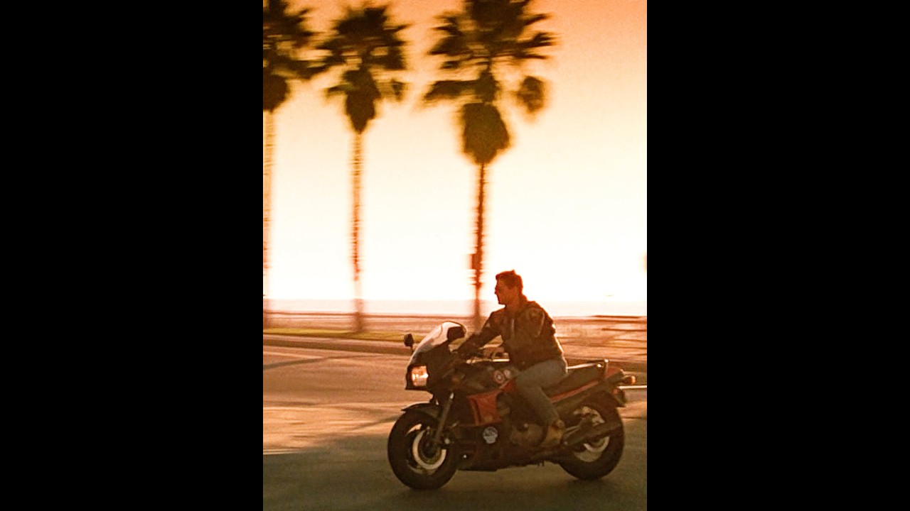 The Two of Them Fell in Love【Top Gun】 