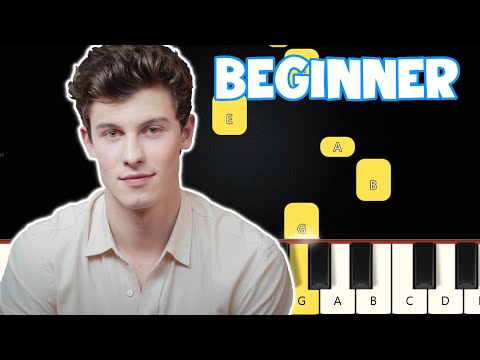 In My Blood - Shawn Mendes