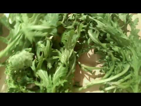 Video: Salat Kõrvitsa, Rukola Ja Viigimarjadega