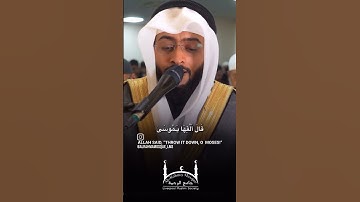 قرآن كريم راحة نفسيه القارئ احمد النفيس 🤍❤🌷 #اكسبلور #اكسبلورهاشتاقات #الصلاه #تيك_توك #حالات_وا