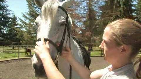 How to Use a Snaffle Bit