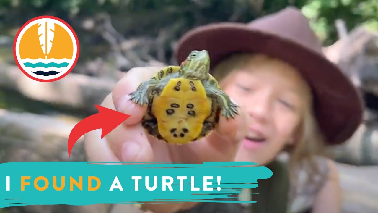 Adventures of Riverhood: Finding a Baby Red-Eared Slider Turtle | Outdoor Adventure for Kids!