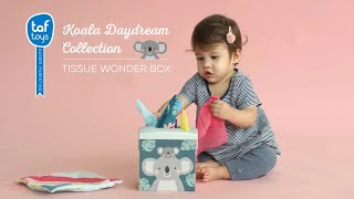 Видео: Taf Toys Kimmy Koala Wonder Tissue Box развивающая игрушка