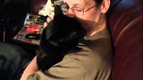 Watch the video about CHARLIE THE TALKING BURMESE CAT