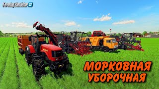 ✔Fs 22 Зачем Столько Моркови ? Ужасная Уборочная , Своя Ферма В Польше  #7  🅻🅸🆅🅴 #Фс22