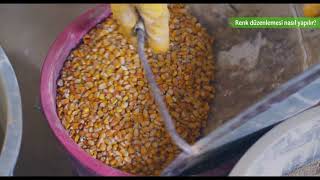 Ediusta Renk Düzenlemesi Color Balans Edius Dersleri-16