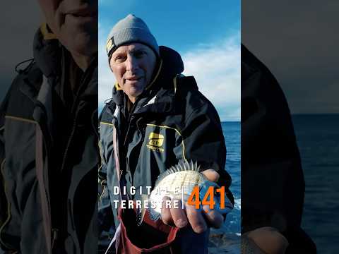 Marco Volpi Bolognese in Scaduta a Calafuria