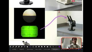 Refraction - determining the concentration of an unknown substance - biophysics laboratory 