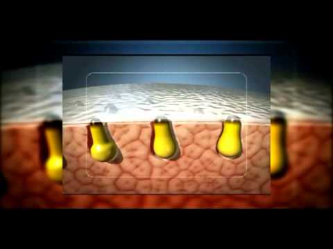 2011 수출역량강화사업 홍보디자인개발 (주)SNP 외국어 동영상