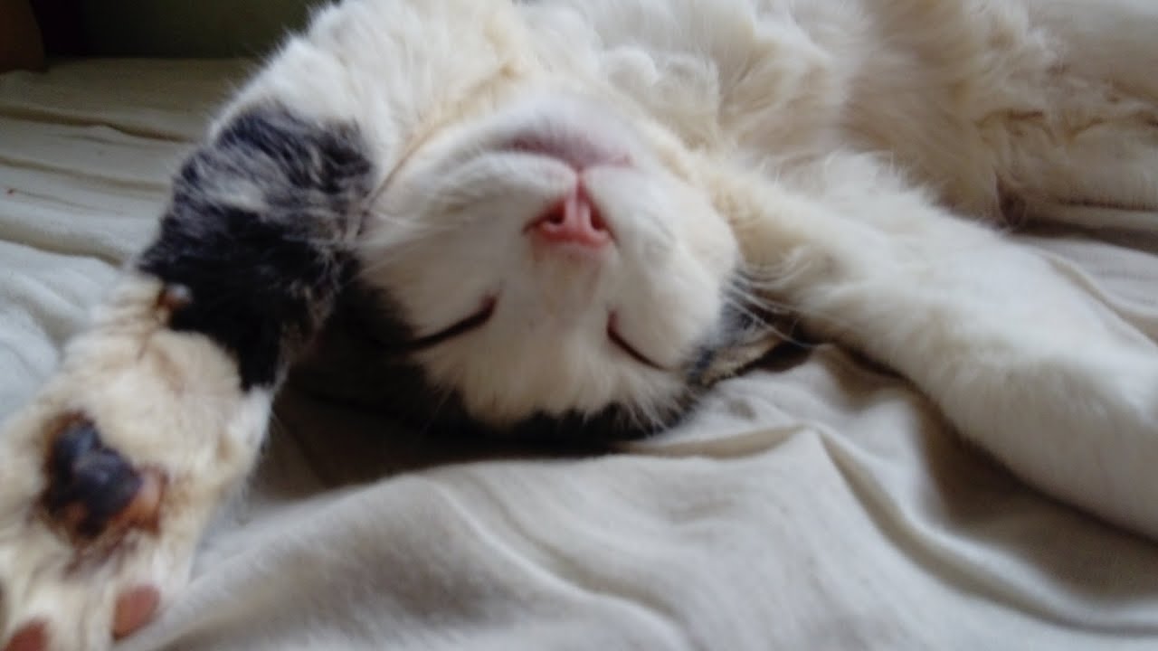 viiii & Carmen Beckett - Heavy Machinery [Downtempo]