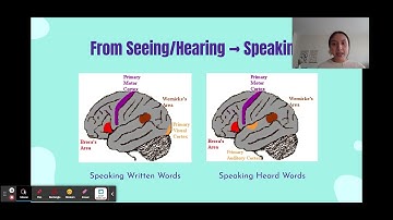 My Favorite Brain Part PSYC 2070