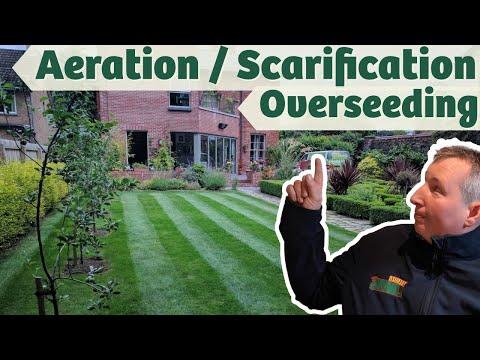 How to Maintain the perfect city lawn