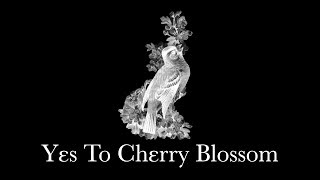 Yes To Heaven / Cherry Blossom – Lana Del Rey Harp Medley