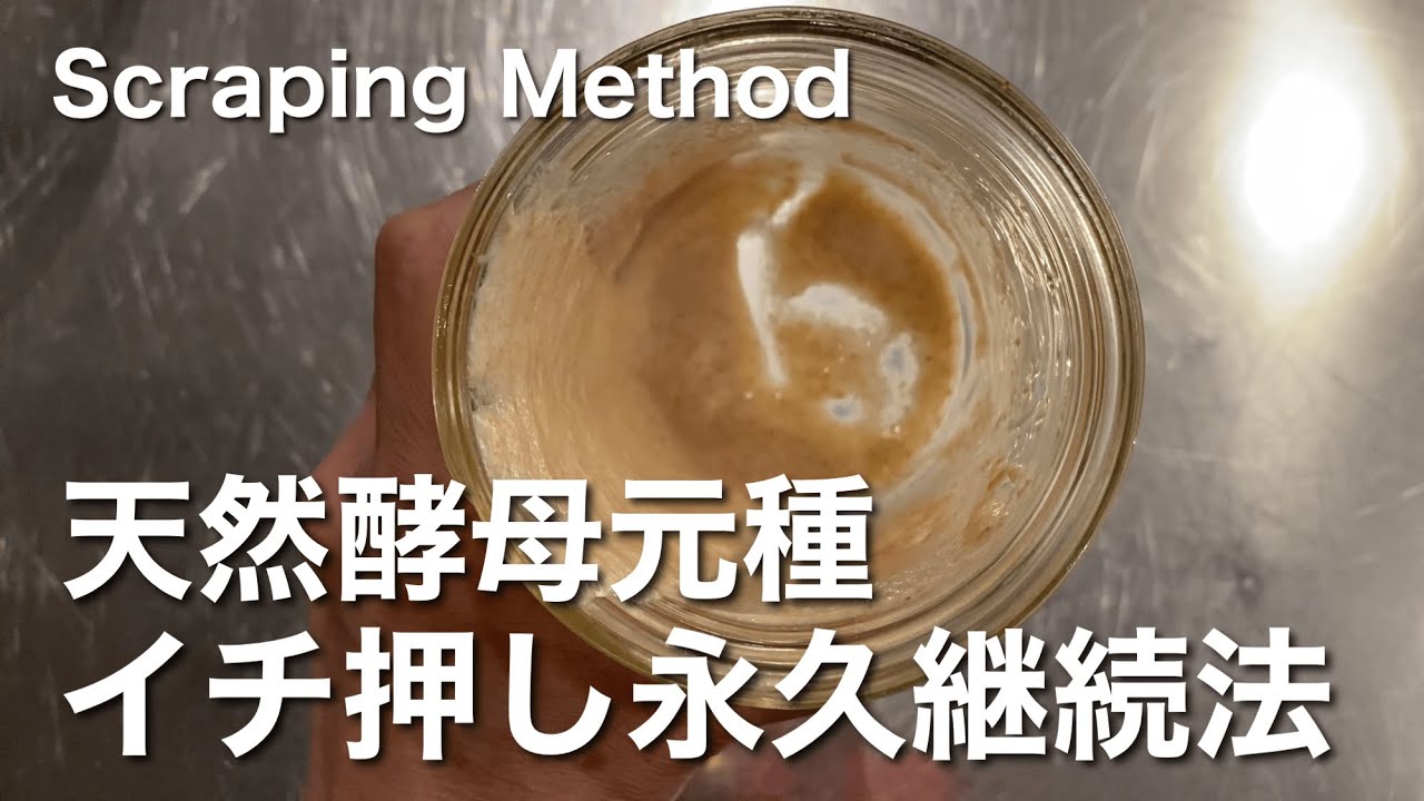 SUB) 余り種なし！ 酸味の無い天然酵母パンに最適な元種の継続・活性化の方法　No Discard Scraping Method Mild ＆ Active Sourdough Starter
