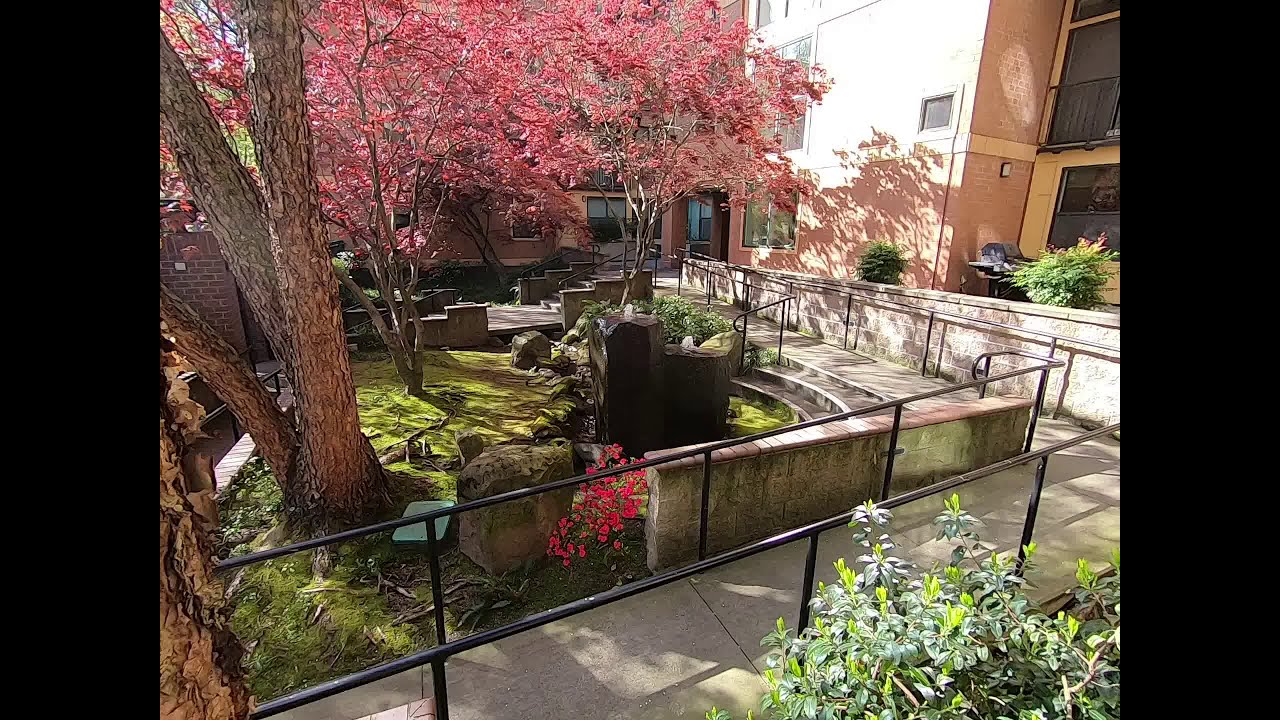 Collins Circle Warbler Floor Plan