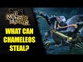 What Can Chameleos Steal in Monster Hunter? (Short) - Heavy Wings