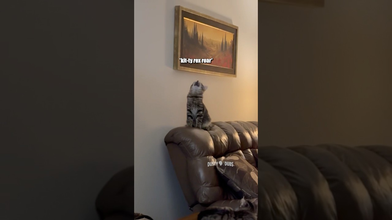 🗣️ Mashup 167 🎥: fan website submissions from Lesley A / Lilly R / Abby M / Lilly R 