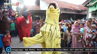 WOWW MACANYA BISA BERDIRI..  MACAN TARUNGAN ~ BUROK CINTA NADA BUDAYA SHOW DUKUH WANGON 27/05/2022