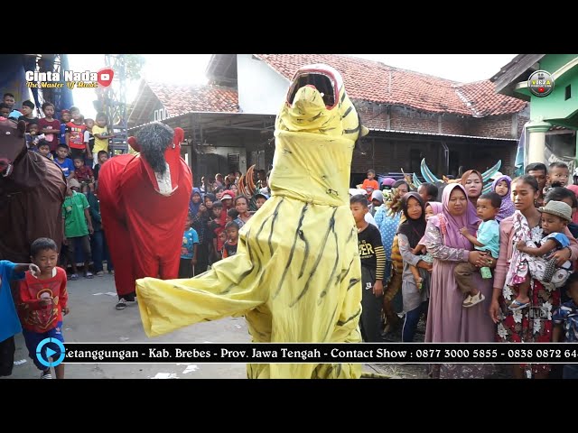 WOWW MACANYA BISA BERDIRI..  MACAN TARUNGAN ~ BUROK CINTA NADA BUDAYA SHOW DUKUH WANGON 27/05/2022 class=